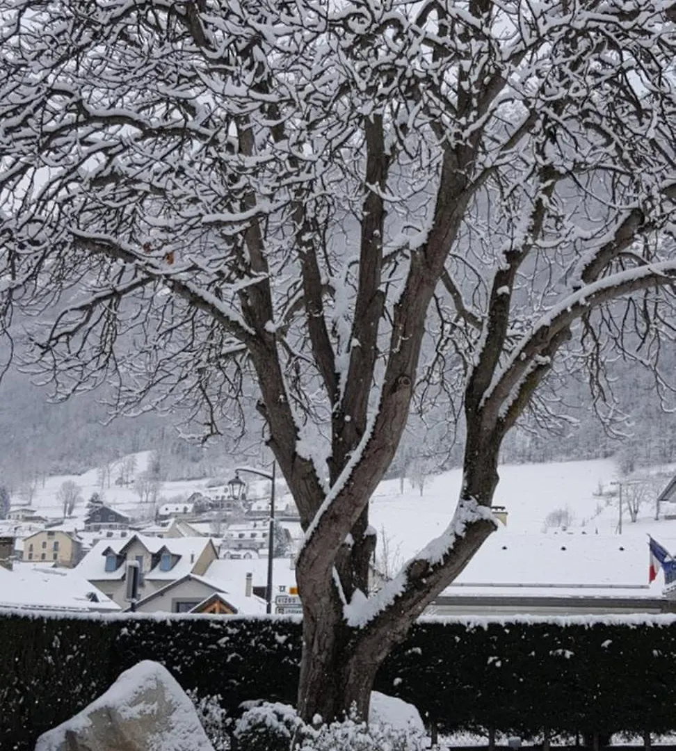 Hotel Terminus Luz-Saint-Sauveur
